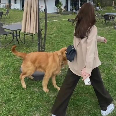 三女怀春