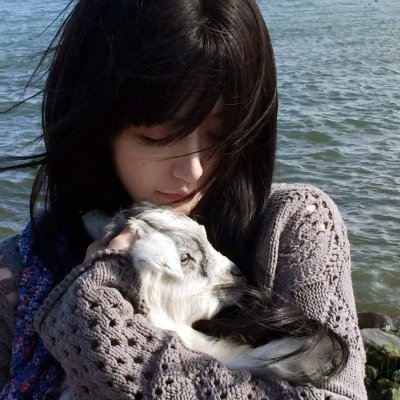 挎斗摩托车里的狗